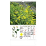 Kalendar "Ljekovito bilje" s rotacijskim krugom, spirala, Nikoprom - Slika 6