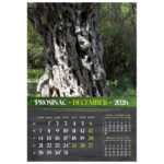 Kalendar "Masline 2026" 13 listova, spirala - Slika 5
